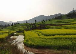 雷速官网-贵州自由客场胜云南建昌，保持全胜