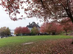 波特兰逆袭国王战,利拉得大Christmas得助主 波特兰逆袭国王战,利拉得大Christmas得助主